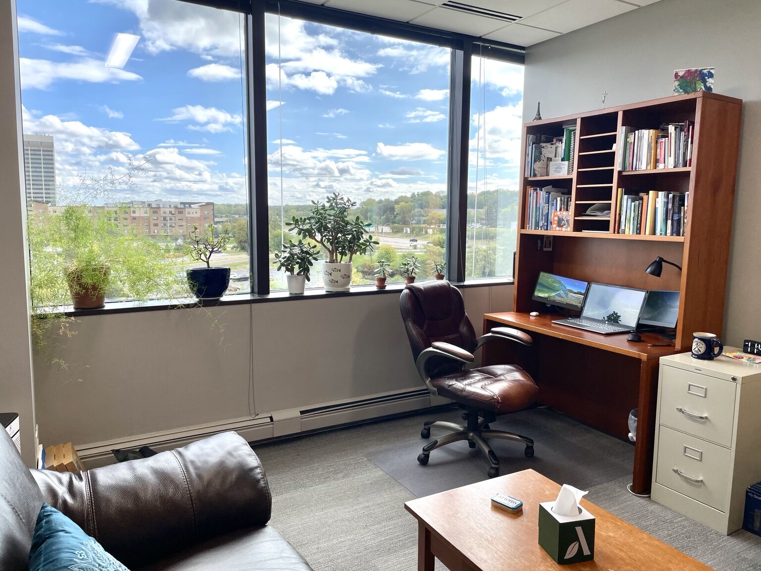Jake's therapy office with a window view, plants, desk, and seating